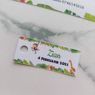 Etichete mărturii botez safari